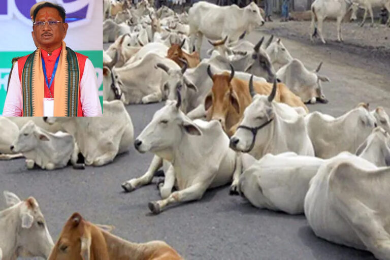 गौवंश