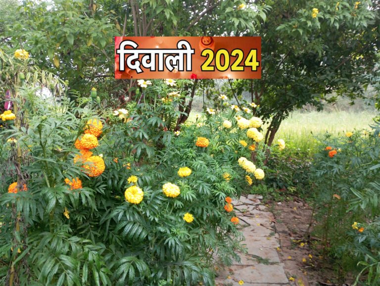 Diwali 2024: दीपावली आज