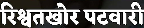 पटवारी