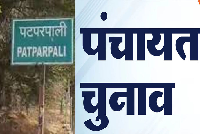 ग्राम पंचायत patparpal